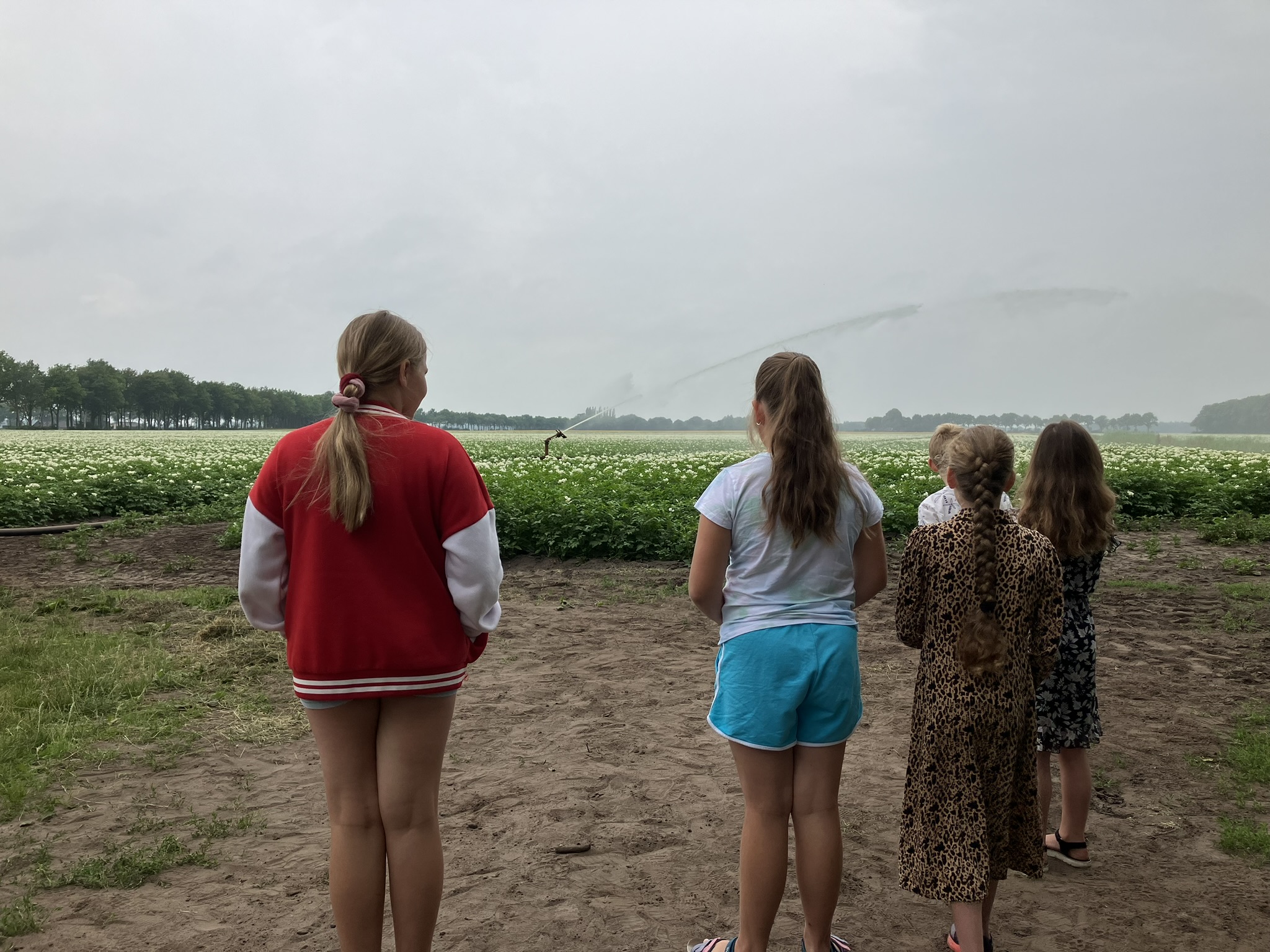 Nieuw Water Op De Boerderij Waterschap Hunze En Aa S